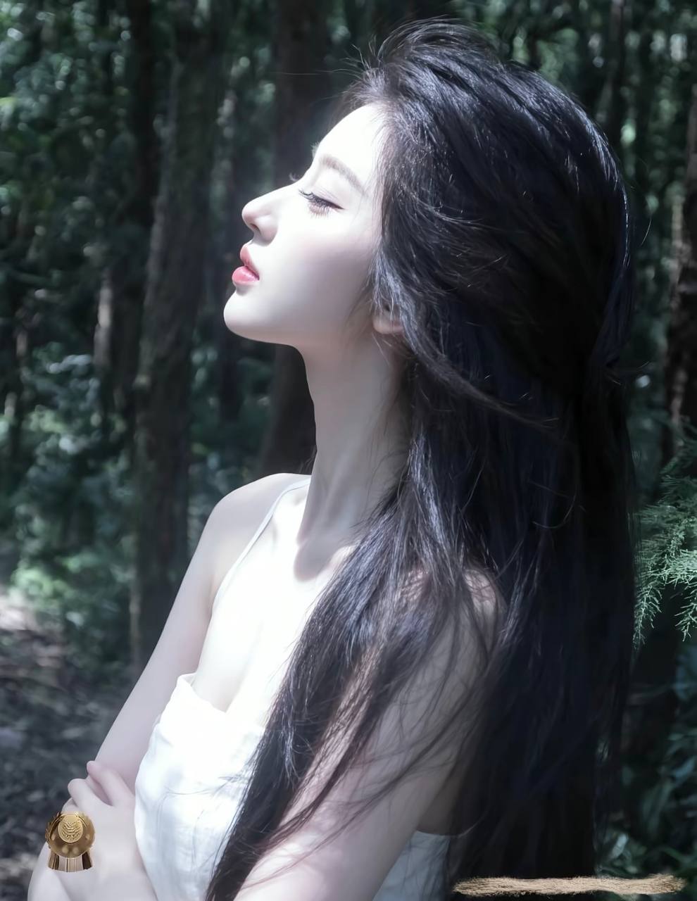 晚风航线2025